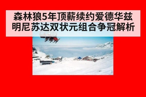 森林狼5年顶薪续约爱德华兹 明尼苏达双状元组合争冠解析（nine game）