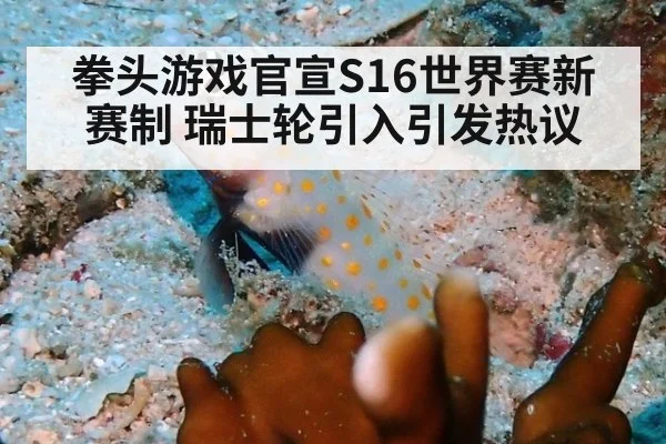 拳头游戏官宣S16世界赛新赛制 瑞士轮引入引发热议