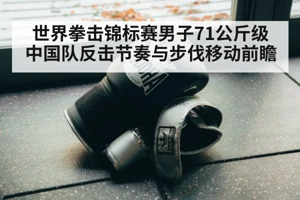 世界拳击锦标赛男子71公斤级 中国队反击节奏与步伐移动前瞻（nine game）